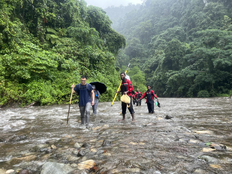 万水千山只等闲，践行六讲勇向前 ——所罗门金岭水电站项目勘察工作侧记